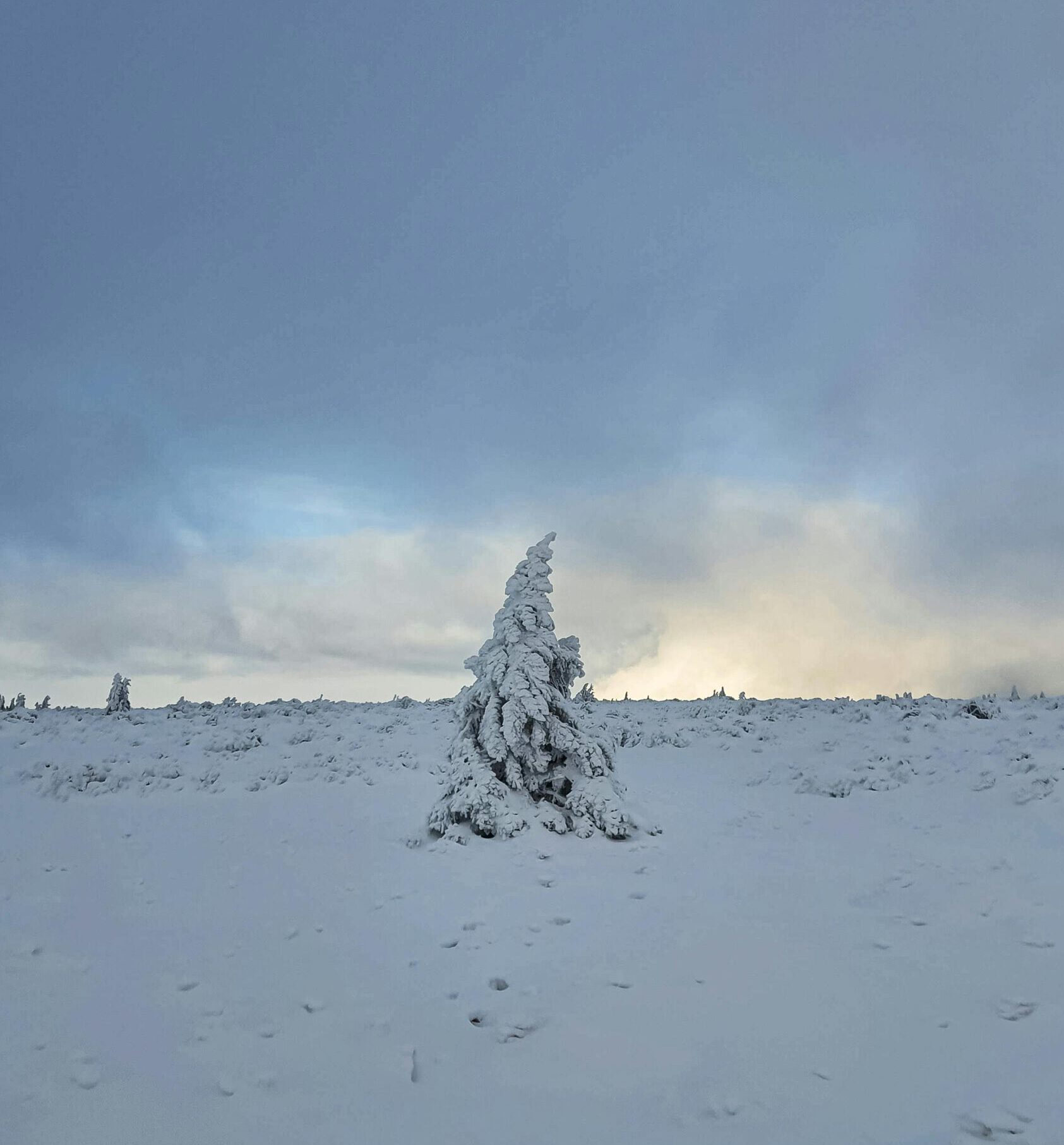 Mehr über den Artikel erfahren ABSAGE Jahreshauptversammlung
